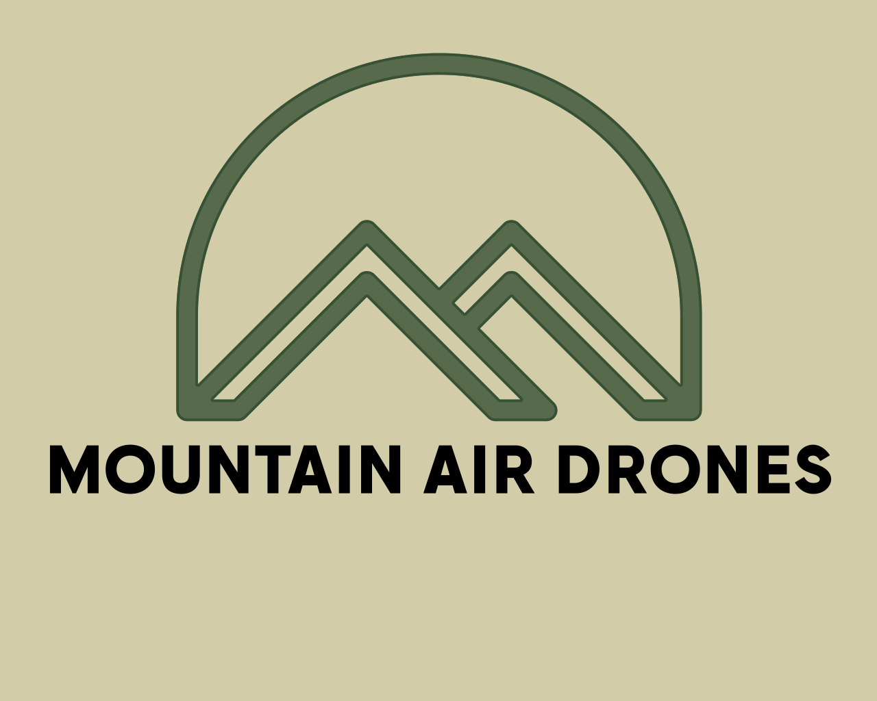 Drone Services Logo